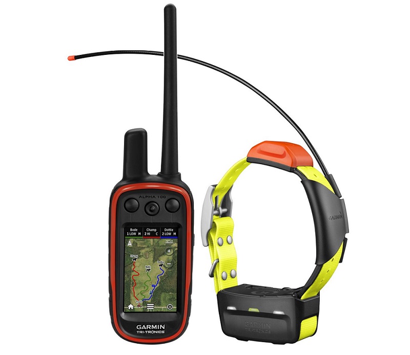 Collares GPS para PERROS de caza